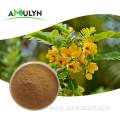 Semen Cassia Seed Extract Powder For Weight Loss